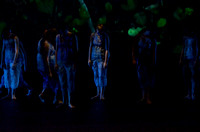 Fall2011_for_the_air-09